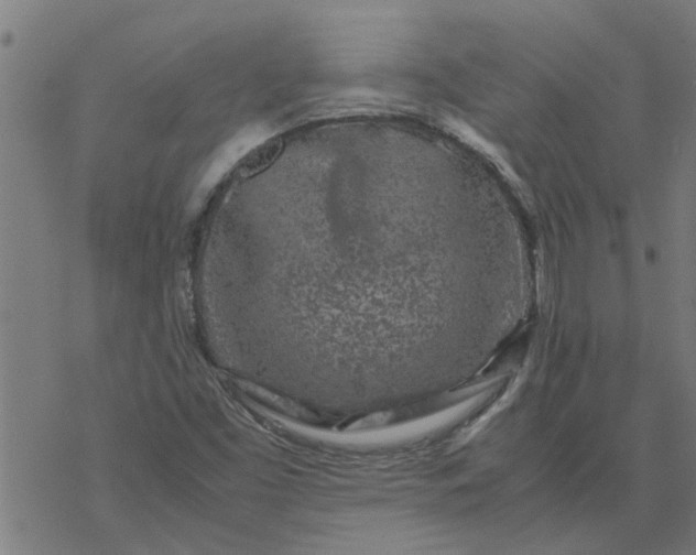 X0000077391453200611031949