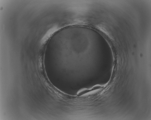 X0000077391455200611031949