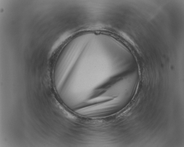 X0000077391456200611031949