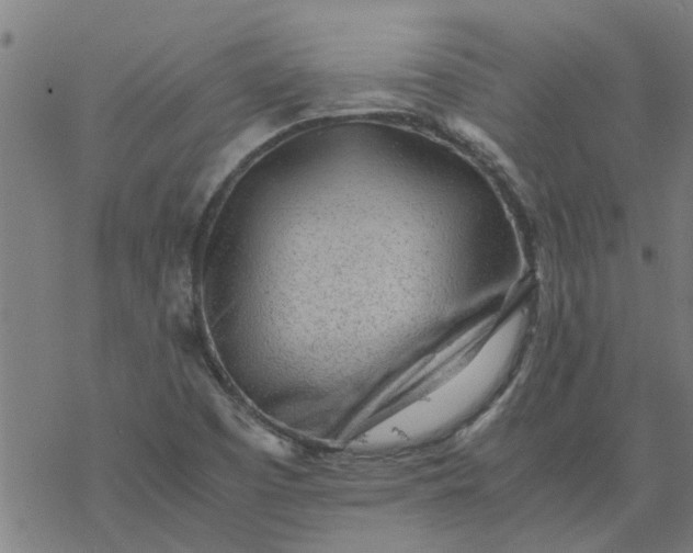 X0000077391457200611031949