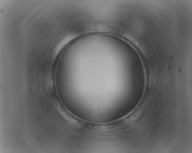 X0000077391458200611031949