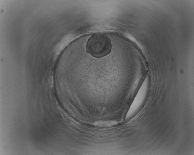 X0000077391459200611031949