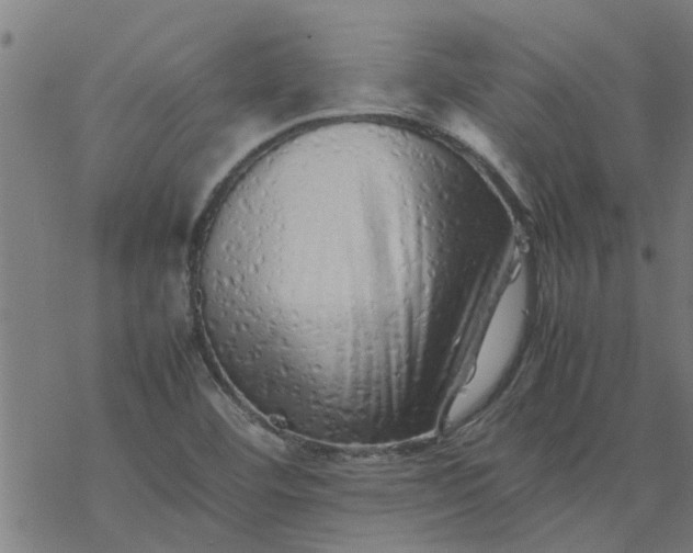 X0000077391460200611031949