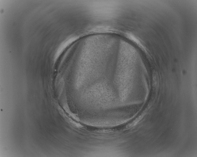 X0000077391461200611031949