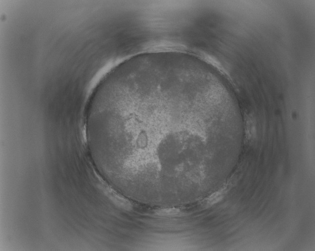 X0000077391462200611031949