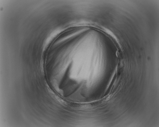 X0000077391464200611031949