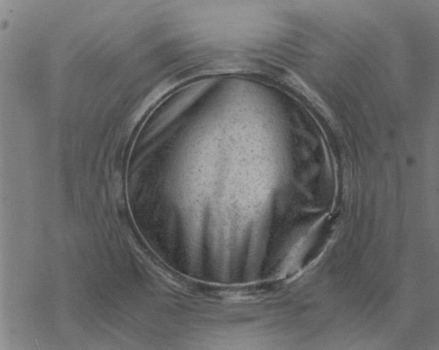 X0000077391465200611031949