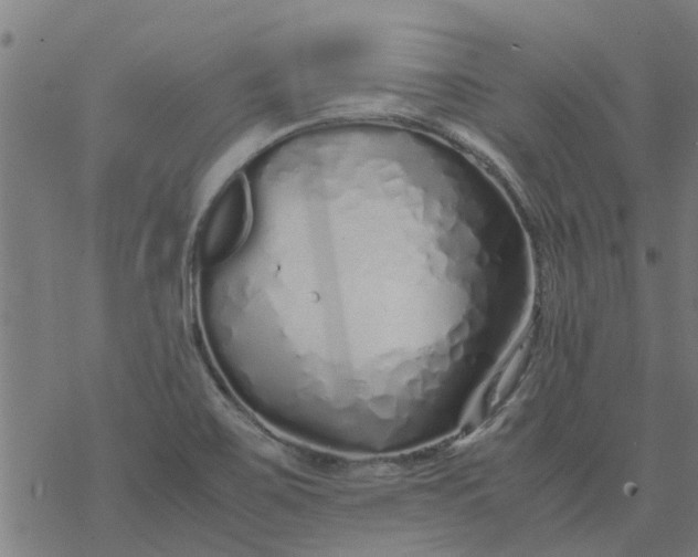 X0000077391467200611031949