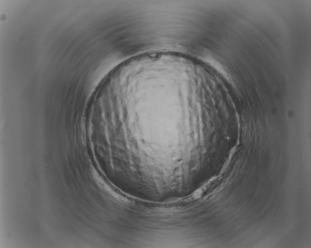 X0000077391468200611031949