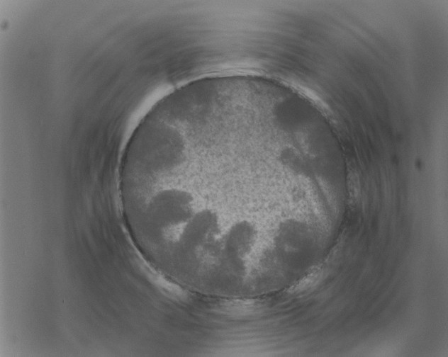 X0000077391470200611031949