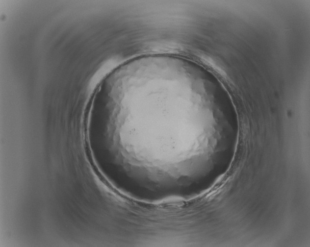 X0000077391471200611031949