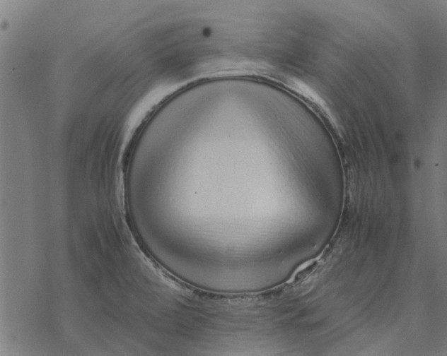 X0000077391472200611031949