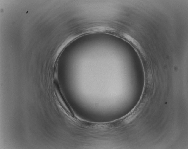 X0000077391473200611031949