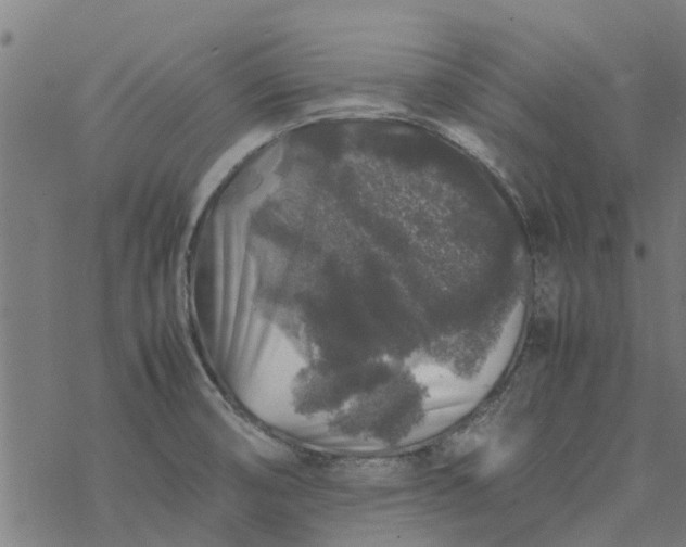 X0000077391474200611031949