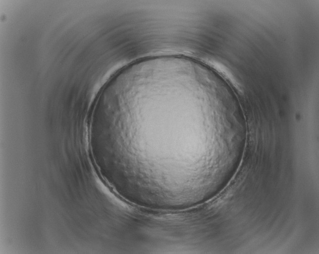 X0000077391476200611031949