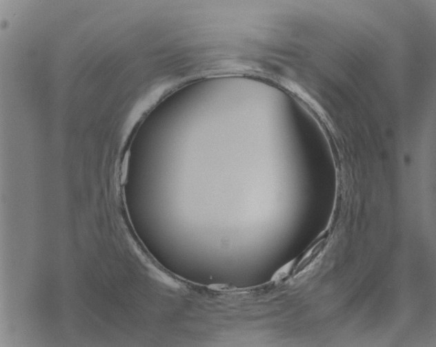 X0000077391477200611031949