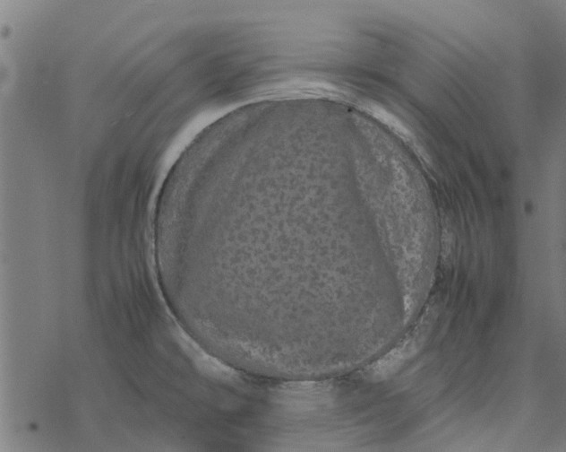 X0000077391478200611031949