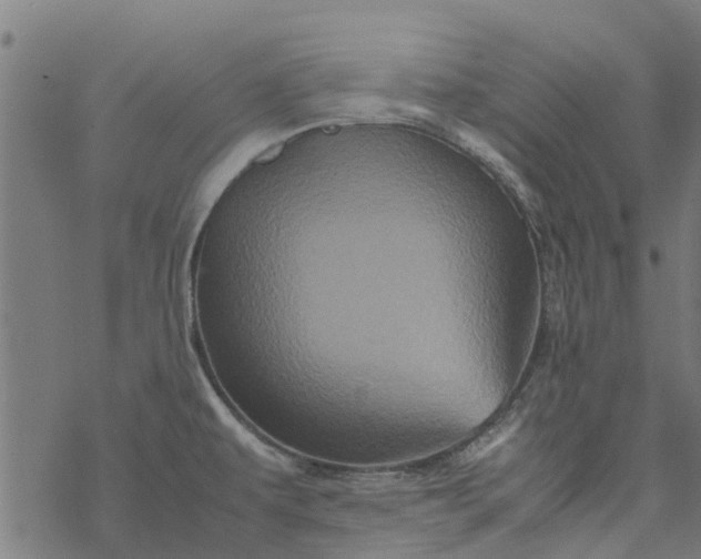 X0000077391479200611031949