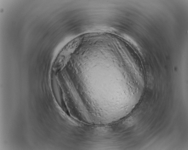 X0000077391480200611031949