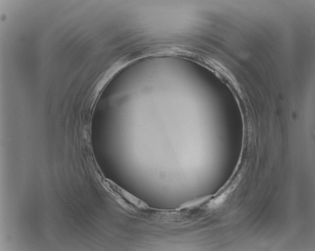 X0000077391481200611031949