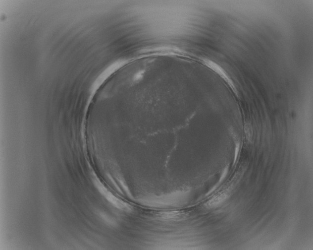 X0000077391482200611031949