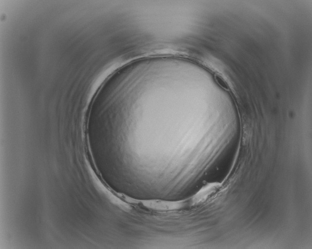 X0000077391483200611031949