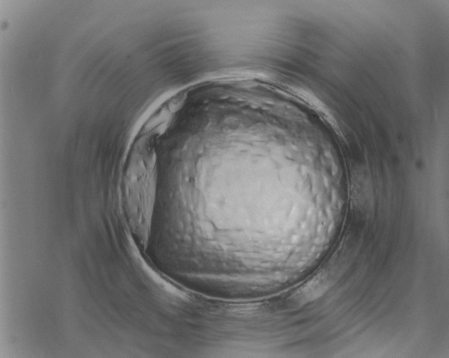 X0000077391484200611031949