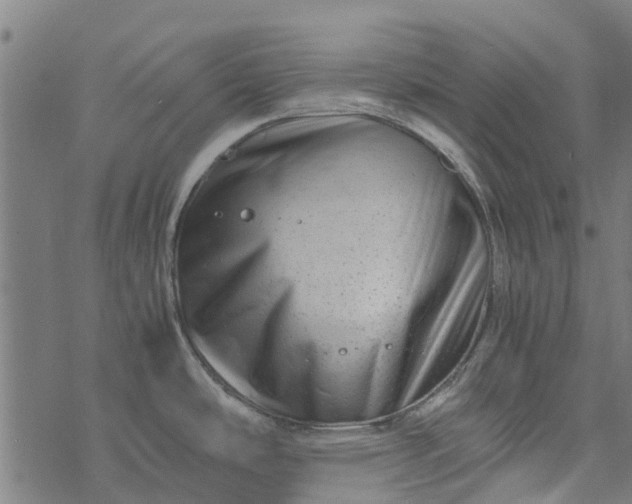 X0000077391486200611031949