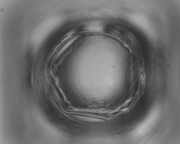 X0000077391487200611031949