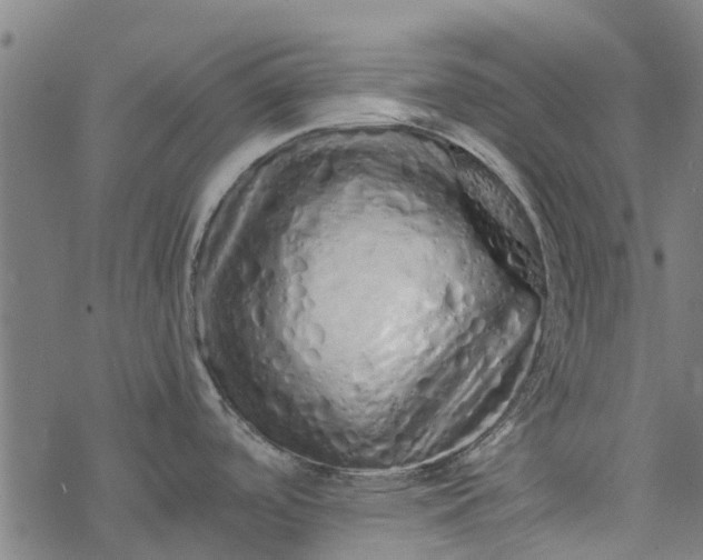 X0000077391488200611031949