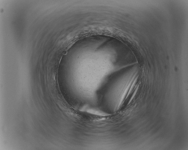 X0000077391489200611031948