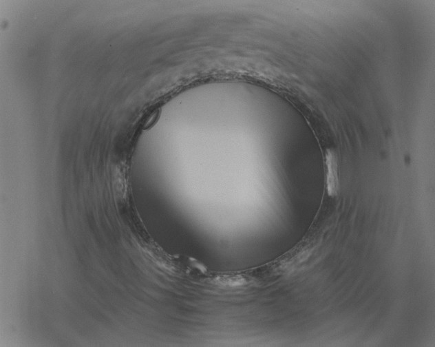 X0000077391491200611031948