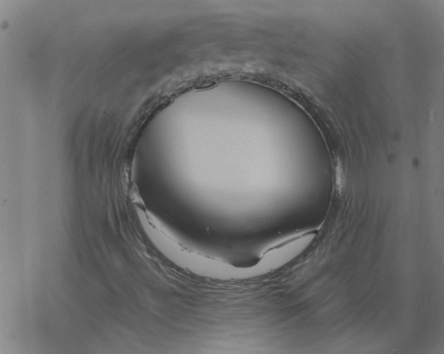 X0000077391492200611031948