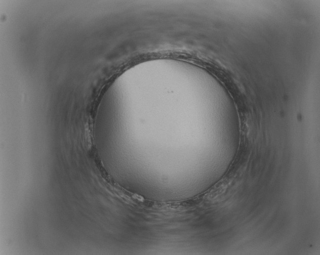 X0000077391493200611031948