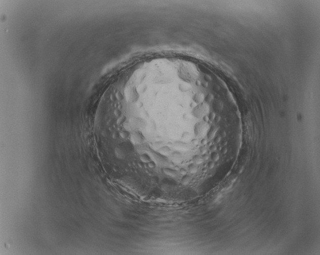 X0000077391494200611031948