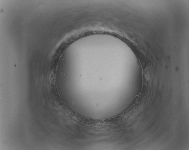 X0000077391495200611031948