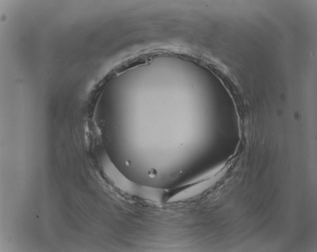 X0000077391496200611031948