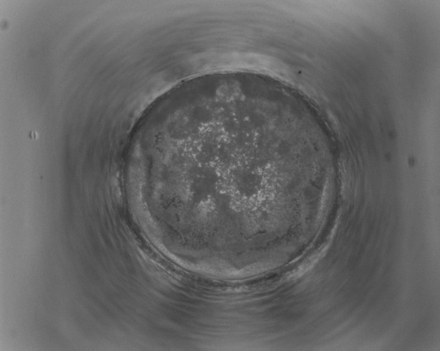 X0000077391497200611031948