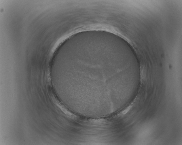 X0000077391498200611031948