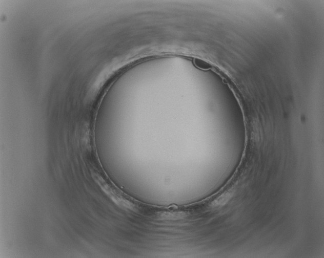 X0000077391499200611031948