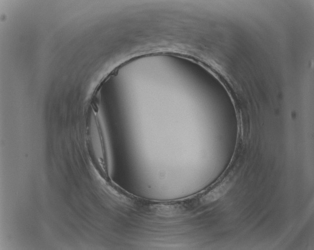 X0000077391500200611031948