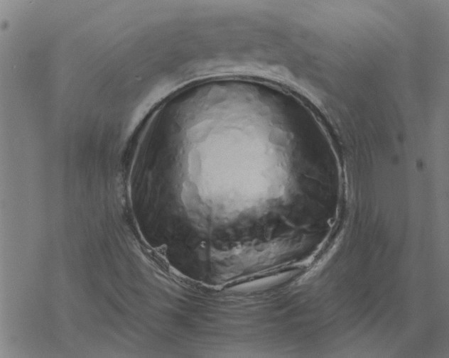 X0000077391501200611031948