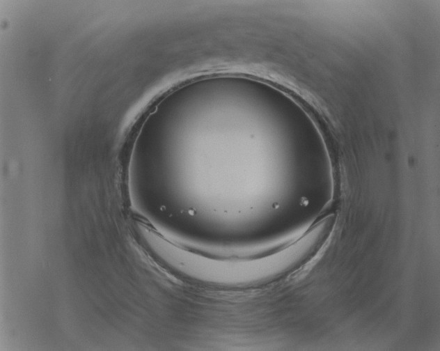 X0000077391502200611031948