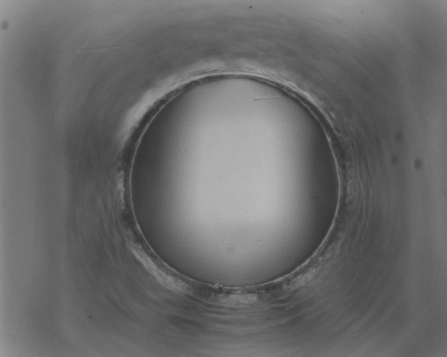 X0000077391503200611031948