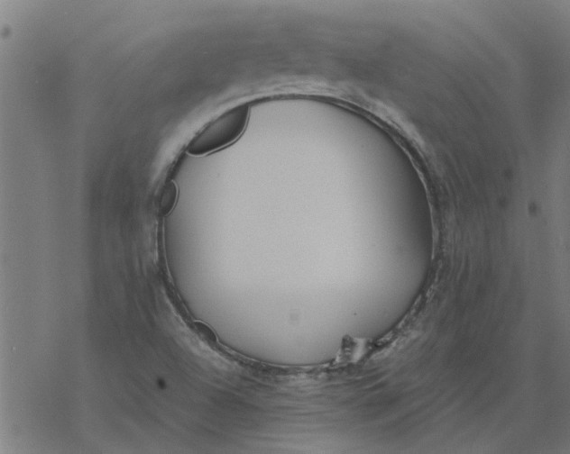 X0000077391504200611031948