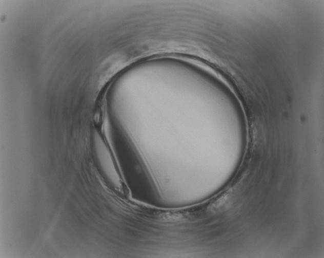 X0000077391505200611031948