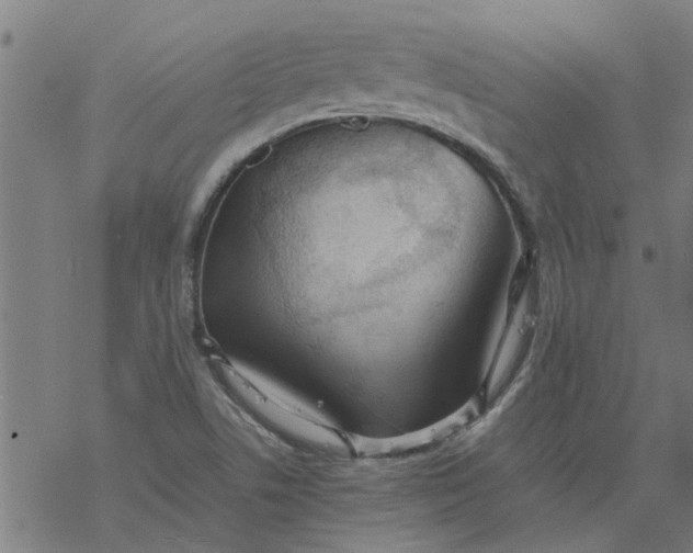 X0000077391506200611031948