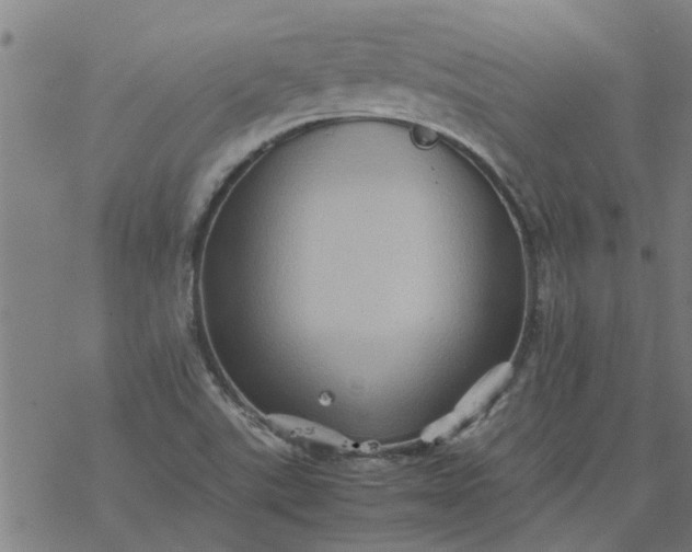 X0000077391507200611031948