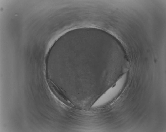 X0000077391508200611031948