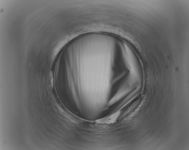 X0000077391509200611031948